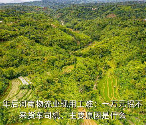 年后河南物流業現用工難：一萬元招不來貨車司機，主要原因是什么