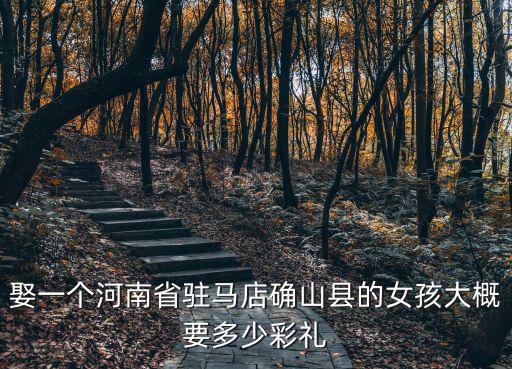 娶一個河南省駐馬店確山縣的女孩大概要多少彩禮