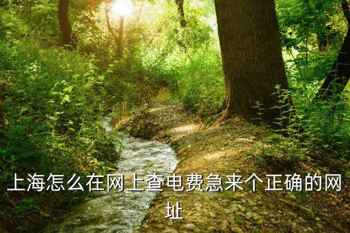 上海怎么在網上查電費急來個正確的網址