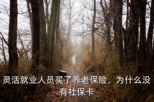 靈活就業人員買了養老保險，為什么沒有社保卡