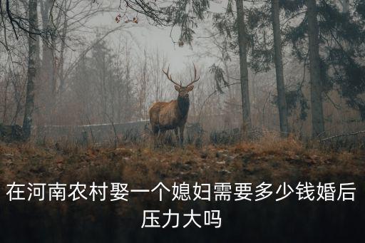 在河南農村娶一個媳婦需要多少錢婚后壓力大嗎