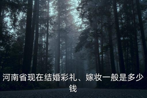 河南省現在結婚彩禮、嫁妝一般是多少錢