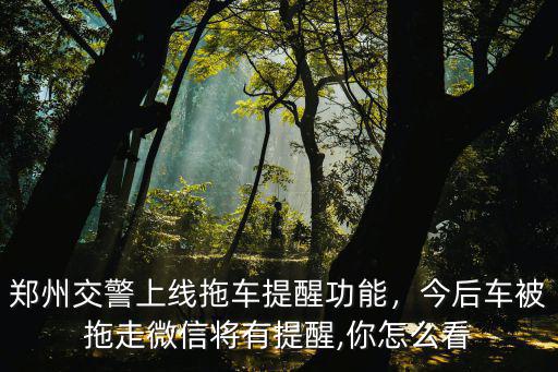 鄭州交警上線拖車提醒功能，今后車被拖走微信將有提醒,你怎么看