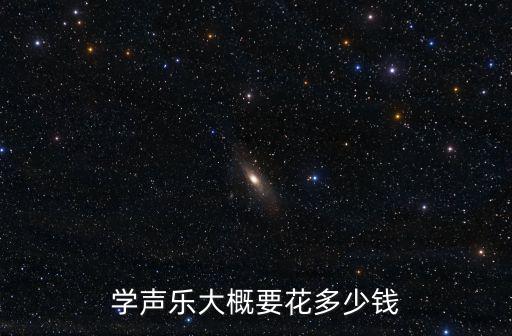 學聲樂大概要花多少錢