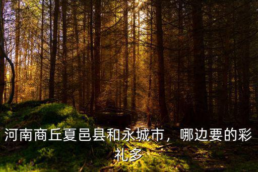 河南商丘夏邑縣和永城市，哪邊要的彩禮多