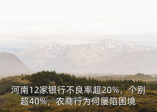河南有多少家本地銀行,鄭州有兩家地方銀行