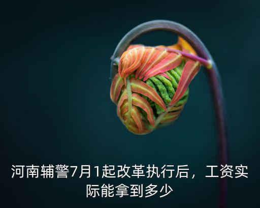 河南輔警7月1起改革執行后，工資實際能拿到多少