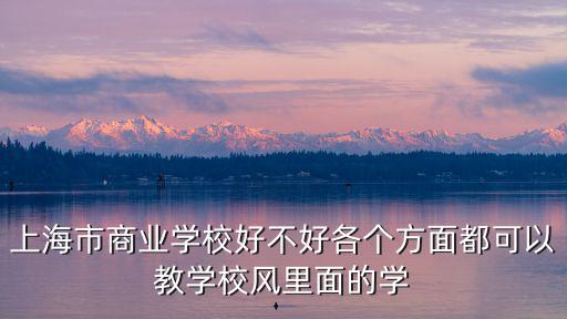 上海市商業學校好不好各個方面都可以教學校風里面的學