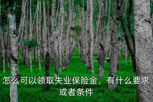 怎么可以領(lǐng)取失業(yè)保險金，有什么要求或者條件