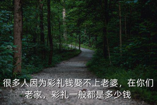 很多人因為彩禮錢娶不上老婆，在你們老家，彩禮一般都是多少錢