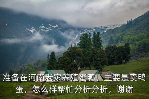 準(zhǔn)備在河南老家養(yǎng)殖蛋鴨，主要是賣鴨蛋，怎么樣幫忙分析分析，謝謝
