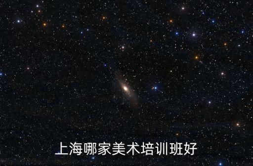 上海哪家美術(shù)培訓(xùn)班好