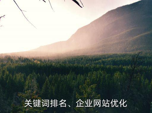 商丘企業(yè)網(wǎng)站排名優(yōu)化多少錢,企業(yè)網(wǎng)站優(yōu)化