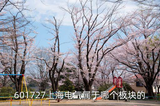 601727上海電氣，601727上海電氣后市如何操作