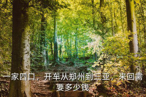 一家四口，開(kāi)車從鄭州到三亞，來(lái)回需要多少錢