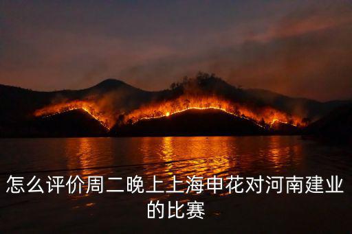 怎么評價周二晚上上海申花對河南建業的比賽
