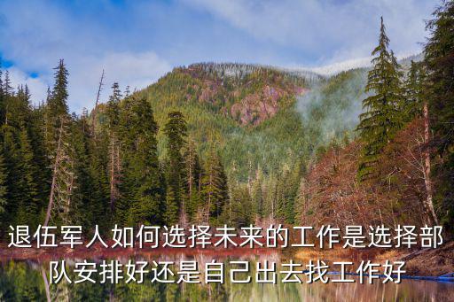 退伍軍人如何選擇未來(lái)的工作是選擇部隊(duì)安排好還是自己出去找工作好
