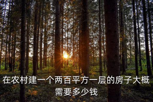 在農村建一個兩百平方一層的房子大概需要多少錢