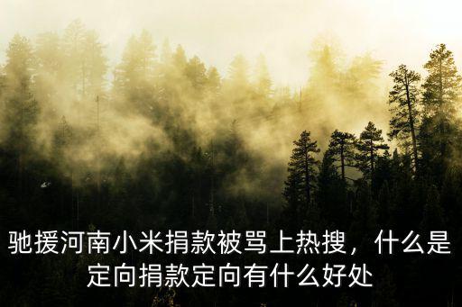 微信里怎么向河南捐款,馳援河南小米捐款被罵上熱搜