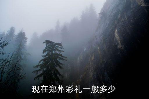 現(xiàn)在鄭州彩禮一般多少