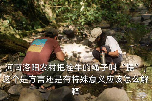 河南洛陽農村把拴牛的繩子叫“振”，這個是方言還是有特殊意義應該怎么解釋