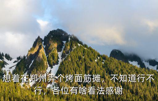 想著在鄭州弄個烤面筋攤，不知道行不行，各位有啥看法感謝
