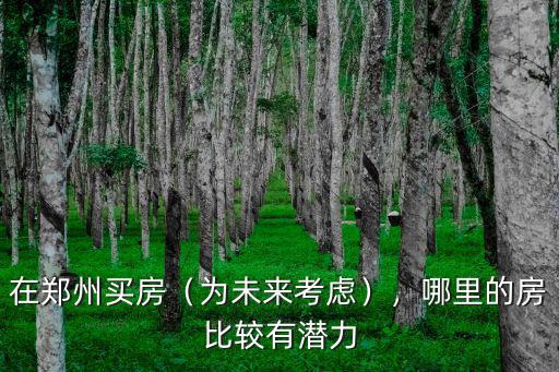在鄭州買房（為未來考慮），哪里的房比較有潛力