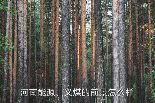河南能源、義煤的前景怎么樣
