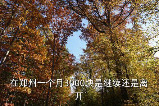 鄭州美工一個月多少錢,在鄭州做美工