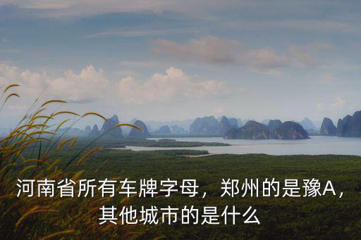 河南個(gè)市車牌字母怎么拍的,河南省所有車牌字母