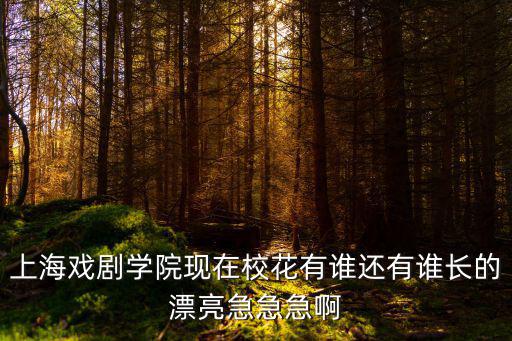 上海戲劇學院校花，上海戲劇學院的校花是誰啊