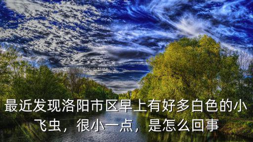 新洛陽信息港是怎么回事,這是怎么回事