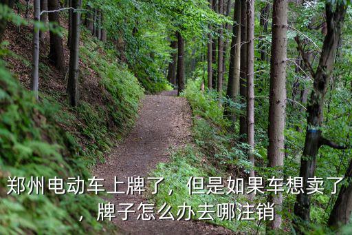 鄭州電動車上牌了，但是如果車想賣了，牌子怎么辦去哪注銷