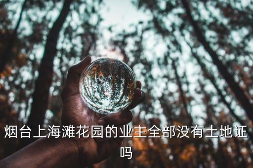 煙臺(tái)上海灘花園的業(yè)主全部沒有土地證嗎