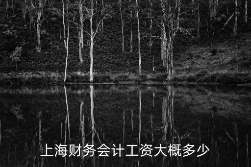上海財(cái)務(wù)，上海哪家財(cái)務(wù)公司比較好