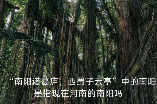 南陽諸葛廬西蜀子云亭怎么翻譯,如何解析劉禹錫南陽諸葛廬