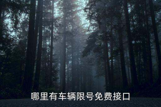 哪里有車輛限號免費接口