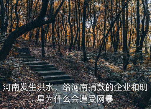 河南發生洪水，給河南捐款的企業和明星為什么會遭受網暴