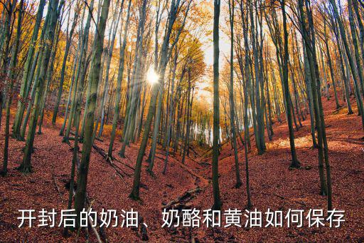 開封后的奶油、奶酪和黃油如何保存