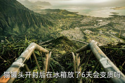 貓罐頭開封后在冰箱放了6天會變質(zhì)嗎