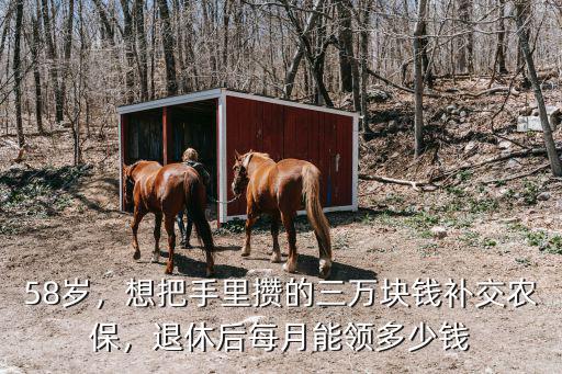 58歲，想把手里攢的三萬塊錢補交農保，退休后每月能領多少錢