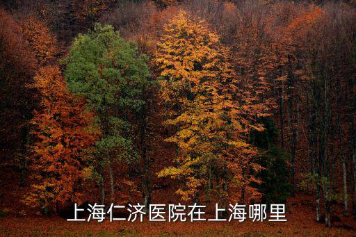 上海仁濟(jì)醫(yī)院在上海哪里