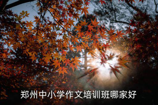 鄭州中小學作文培訓班哪家好