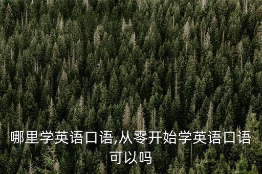 焦作哪里學英語口語,從零開始學英語口語可以嗎