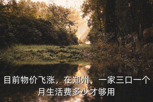 目前物價飛漲，在鄭州，一家三口一個月生活費多少才夠用