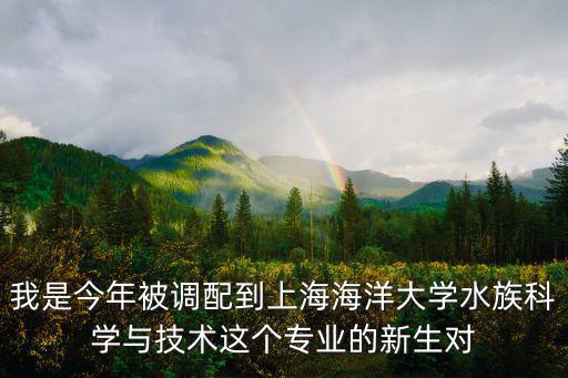 上海海洋大學(xué)貼吧，上海海洋大學(xué)大幾可以輔修專業(yè)