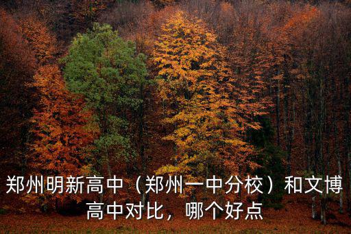 鄭州明新高中（鄭州一中分校）和文博高中對比，哪個好點