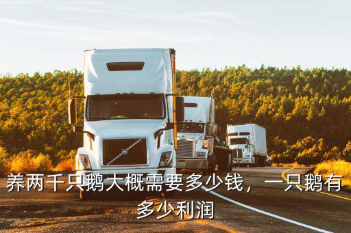 河南小鵝多少錢一只,一只鵝有多少利潤