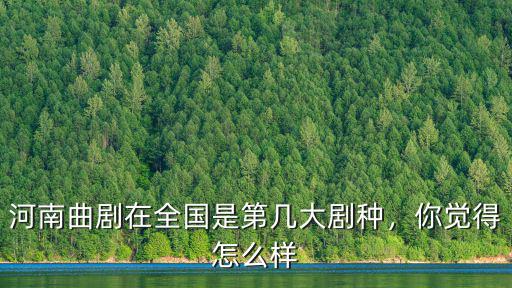 河南曲劇在全國是第幾大劇種，你覺得怎么樣