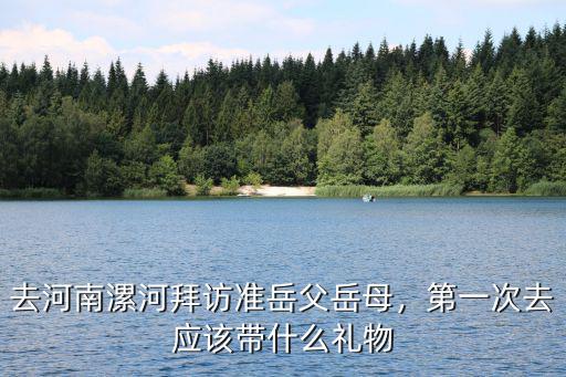 去河南漯河拜訪準(zhǔn)岳父岳母，第一次去應(yīng)該帶什么禮物